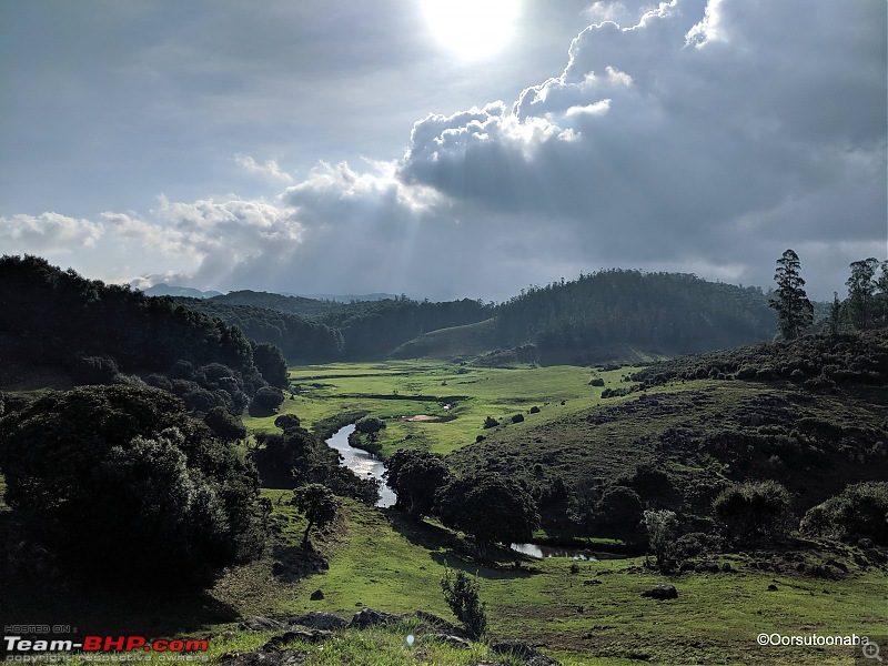 Exploring Parsons Valley, Nilgiris-v1.jpg