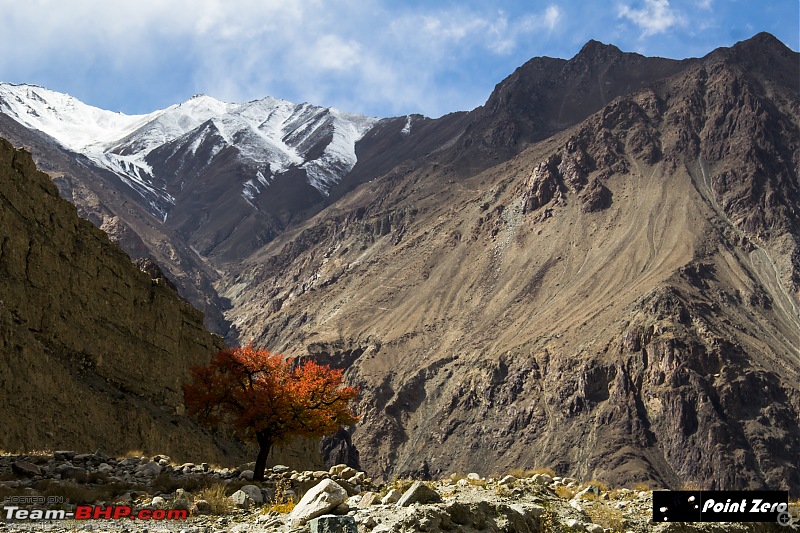 Three tickets to paradise - Ladakh & Kashmir-img_9270.jpg