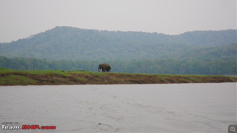 My 1st visit to Kabini - Amidst the Wilderness-p1050714.jpg