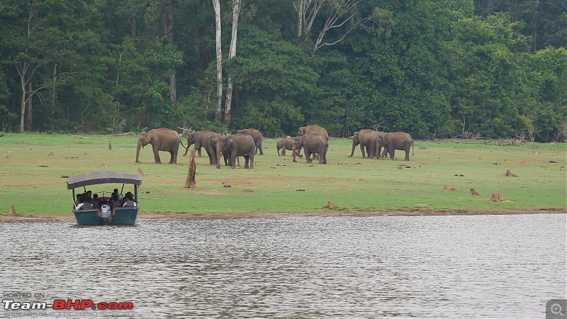My 1st visit to Kabini - Amidst the Wilderness-p1050720.jpg