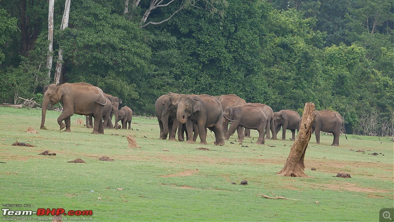 My 1st visit to Kabini - Amidst the Wilderness-p1050722.jpg