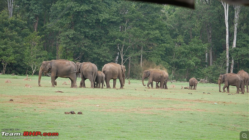 My 1st visit to Kabini - Amidst the Wilderness-p1050726.jpg
