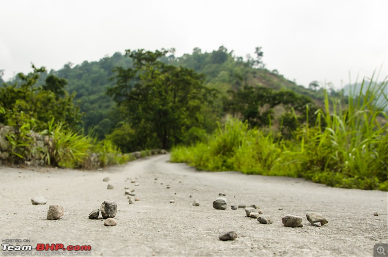 The Journey is the Destination - Zuluk, Kupup, Gnathang & Latpanchar-tkd_9233.jpg