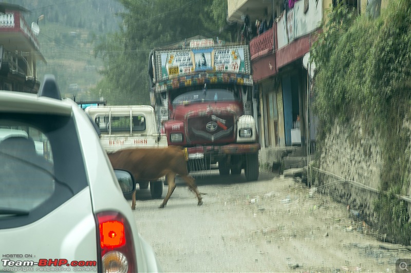 Heavy Vehicles at high altitude Himachal Pradesh!-img_29821.jpg
