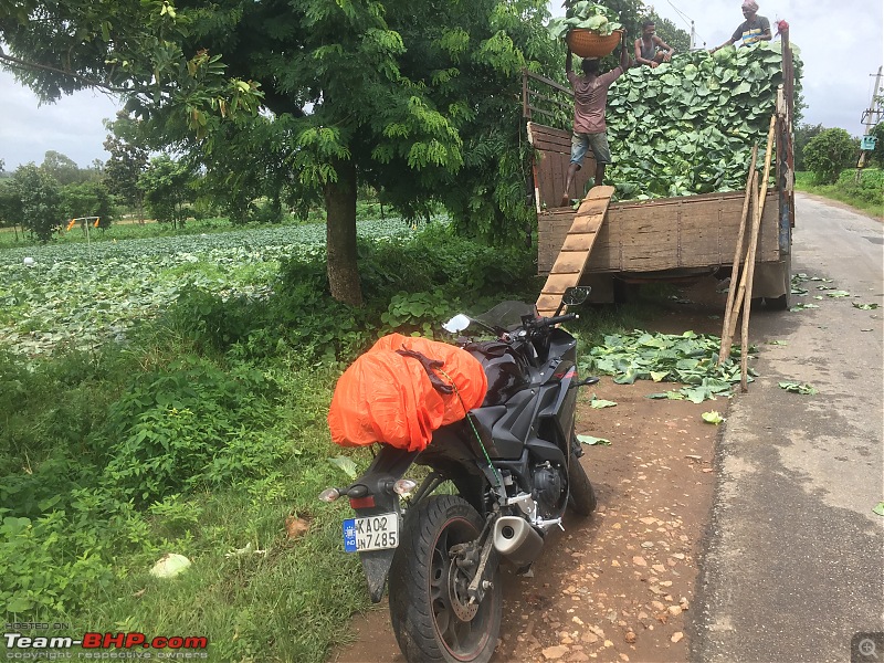 Yamaha YZF-R3 Bangalore owners' Monsoon Ride to Malnad-img_1533.jpg