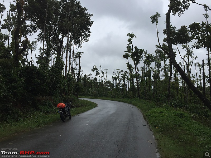 Yamaha YZF-R3 Bangalore owners' Monsoon Ride to Malnad-img_1692.jpg