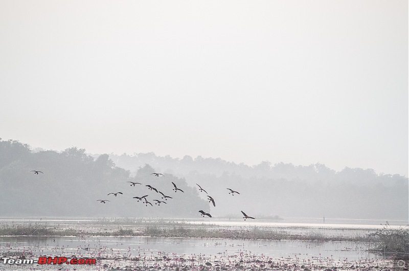 To the Forests of Eastern Odisha-_dsc0032.jpg