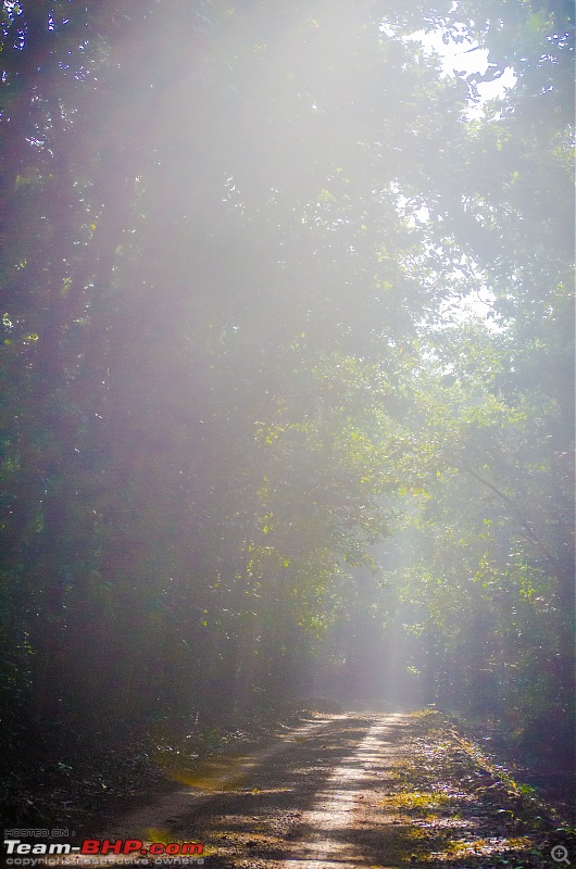 To the Forests of Eastern Odisha-_dsc0051.jpg