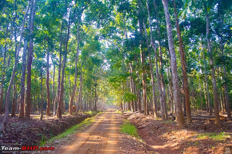 To the Forests of Eastern Odisha-_dsc0060.jpg