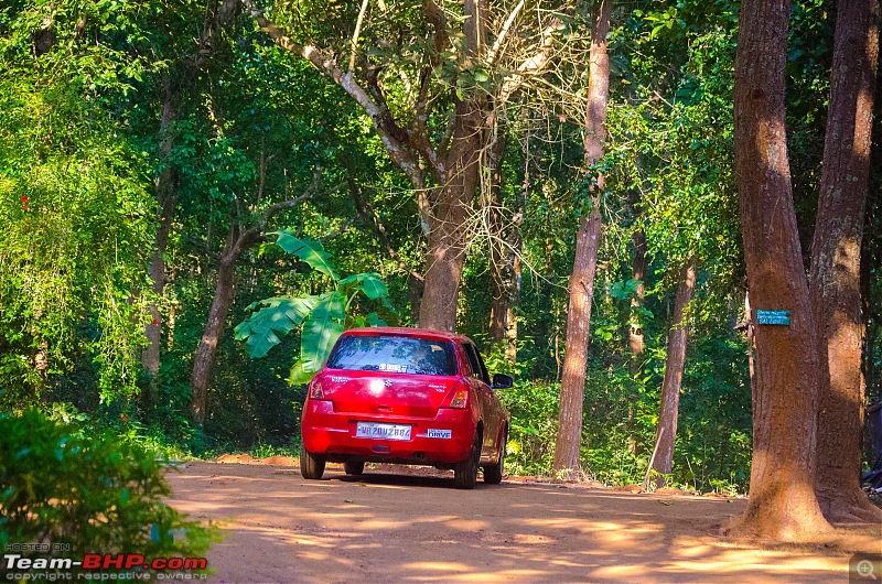 To the Forests of Eastern Odisha-_dsc0069.jpg