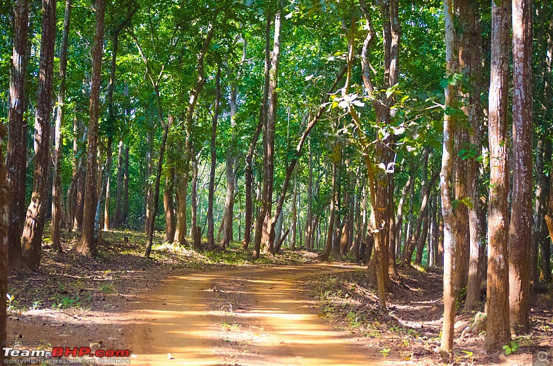 To the Forests of Eastern Odisha-_dsc0072.jpg