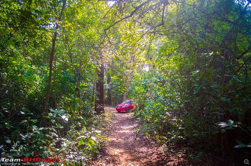 To the Forests of Eastern Odisha-_dsc0083.jpg