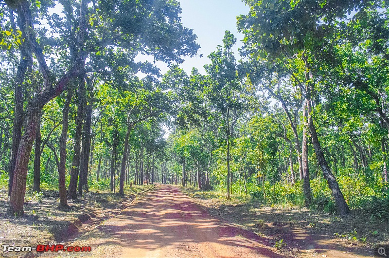 To the Forests of Eastern Odisha-_dsc0154.jpg