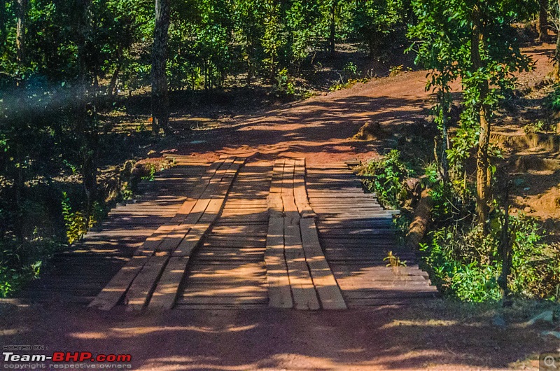 To the Forests of Eastern Odisha-_dsc0179.jpg