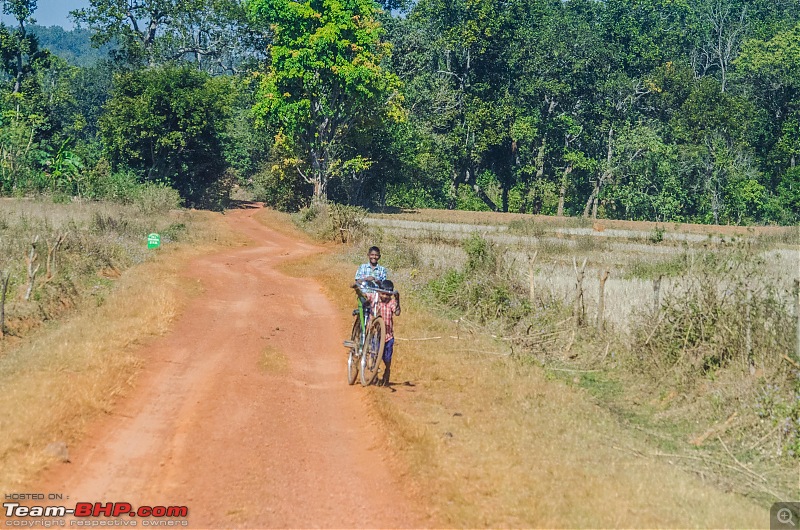 To the Forests of Eastern Odisha-_dsc0191.jpg