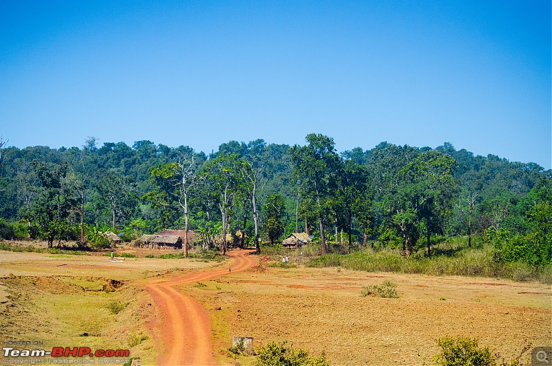To the Forests of Eastern Odisha-_dsc0230.jpg