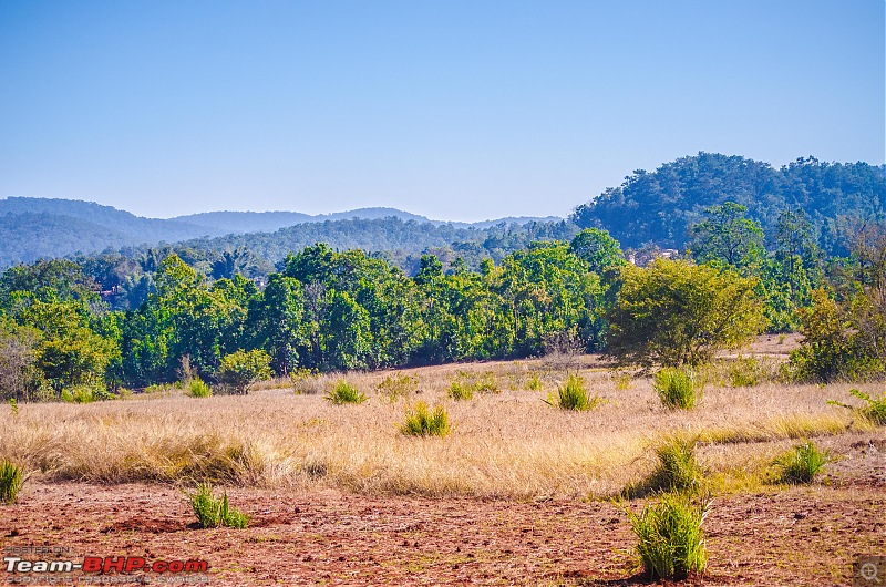 To the Forests of Eastern Odisha-_dsc0250.jpg