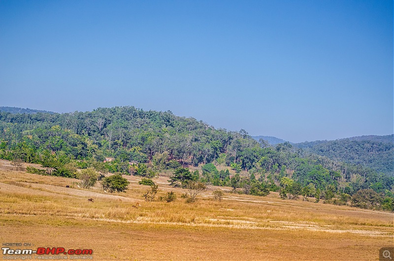 To the Forests of Eastern Odisha-_dsc0255.jpg