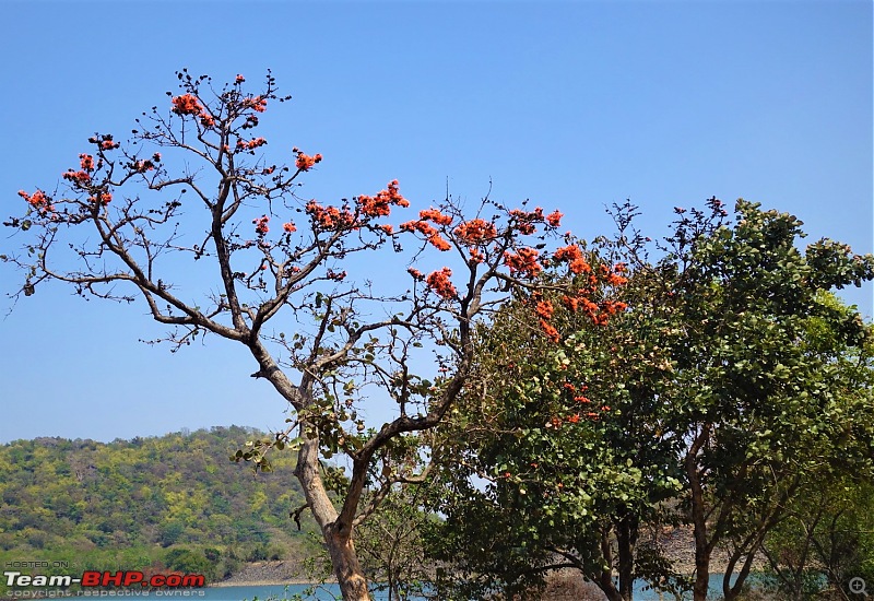 To the Spring time Wonderland of Garh Panchkot, Baranti and Maithon in an Innova Crysta-dsc04518.jpg