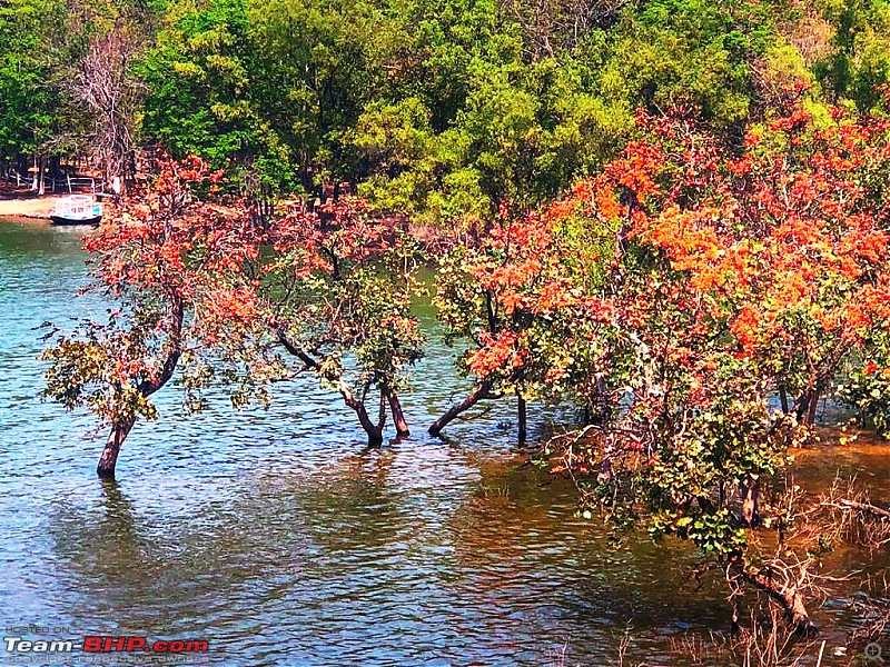 To the Spring time Wonderland of Garh Panchkot, Baranti and Maithon in an Innova Crysta-img_20200329_194404.jpg