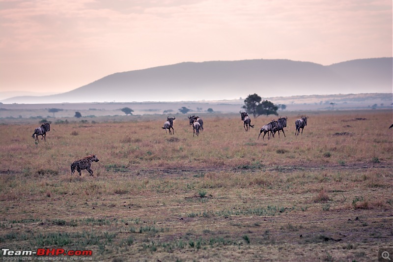 Wild Africa: Experiencing the Mecca of Wildlife Adventure-dsc_0086edit.jpg