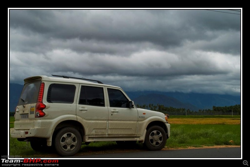 Travelogue : Scaling Vagamon and its heights-6-large.jpg