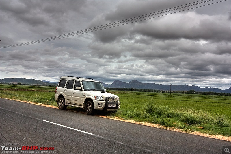 Travelogue : Scaling Vagamon and its heights-img_1261.jpg