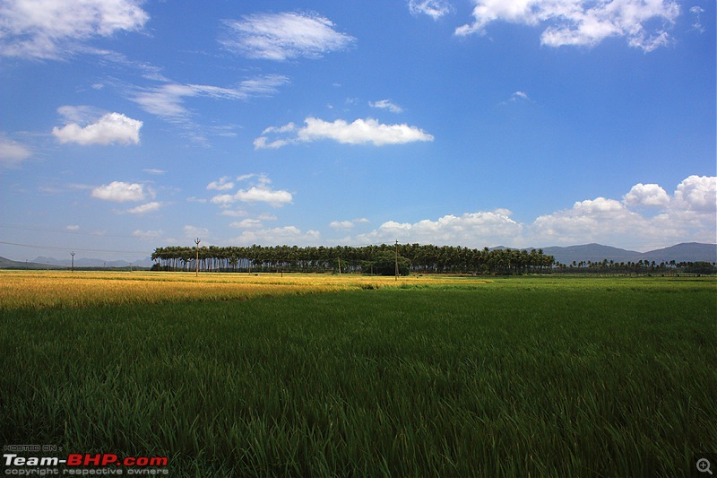 Travelogue : Scaling Vagamon and its heights-img_1511.jpg