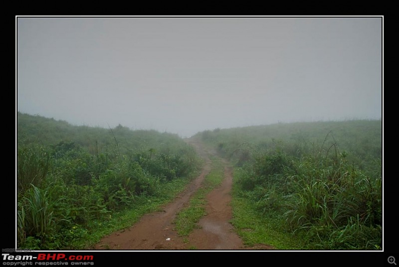 Travelogue : Scaling Vagamon and its heights-11-large.jpg