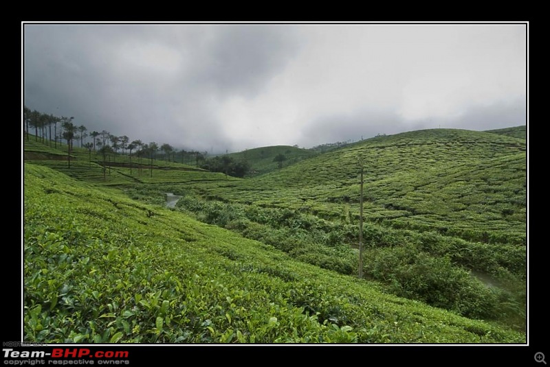 Travelogue : Scaling Vagamon and its heights-14-large.jpg
