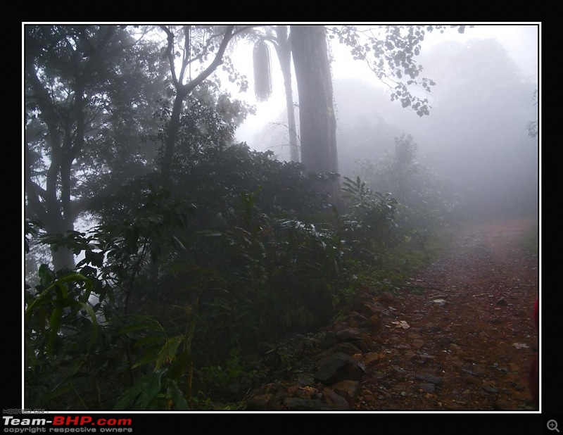 Travelogue : Scaling Vagamon and its heights-1-large.jpg