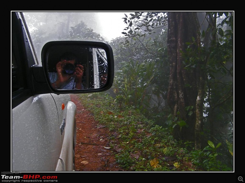 Travelogue : Scaling Vagamon and its heights-2-large.jpg