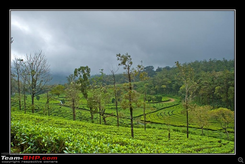 Travelogue : Scaling Vagamon and its heights-8-large.jpg