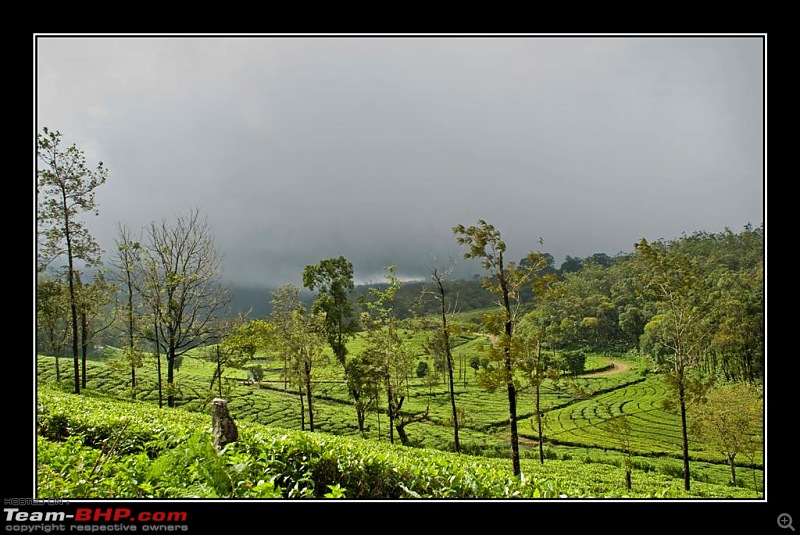 Travelogue : Scaling Vagamon and its heights-9-large.jpg