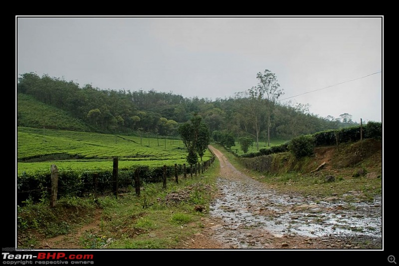 Travelogue : Scaling Vagamon and its heights-10-large.jpg