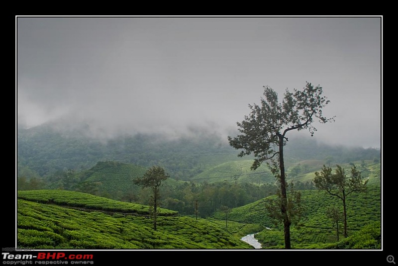 Travelogue : Scaling Vagamon and its heights-12-large.jpg