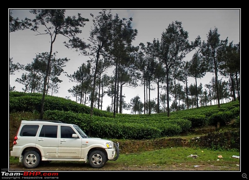 Travelogue : Scaling Vagamon and its heights-13-large.jpg