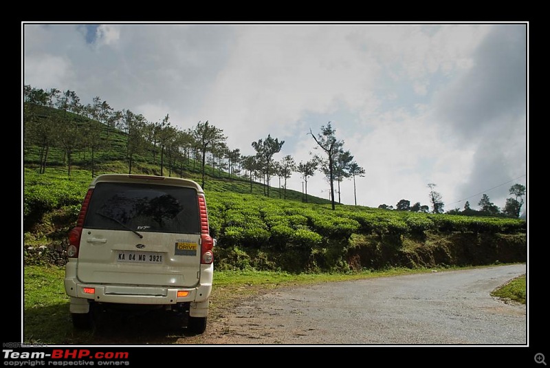 Travelogue : Scaling Vagamon and its heights-14-large.jpg