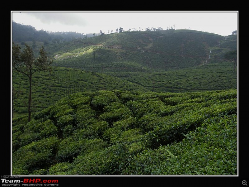 Travelogue : Scaling Vagamon and its heights-16-large.jpg