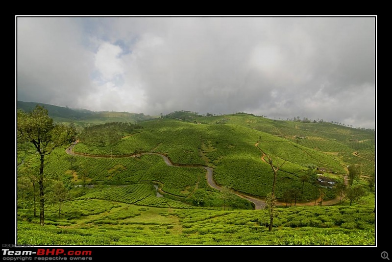 Travelogue : Scaling Vagamon and its heights-17-large.jpg