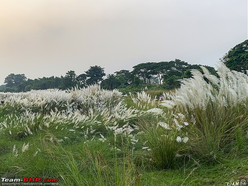 West Bengal - A treasure for tourists-img_4728.jpg