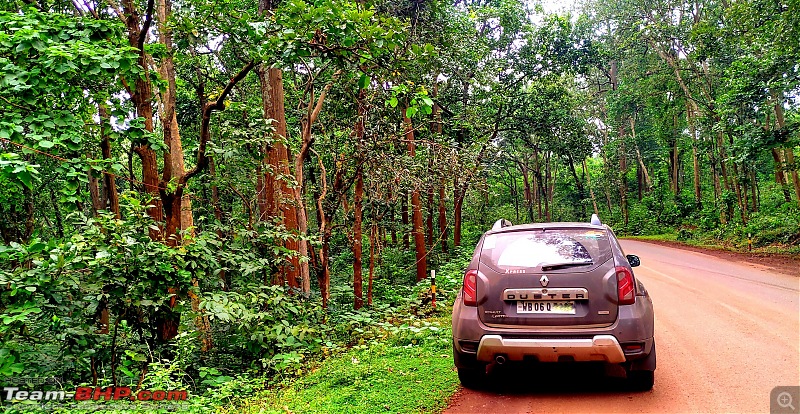 Driven: Kolkata to Sambalpur in a Duster!-onthewayforestcarmid.jpg