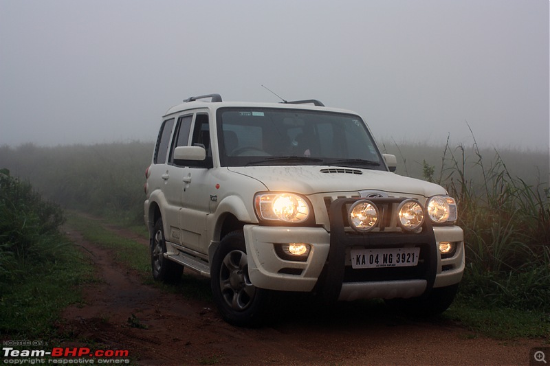 Travelogue : Scaling Vagamon and its heights-img_1309.jpg