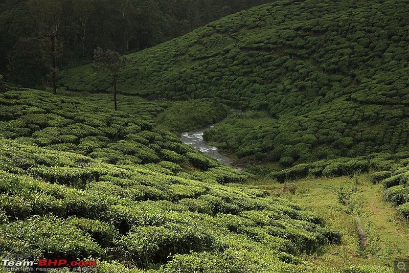 Travelogue : Scaling Vagamon and its heights-img_1503.jpg