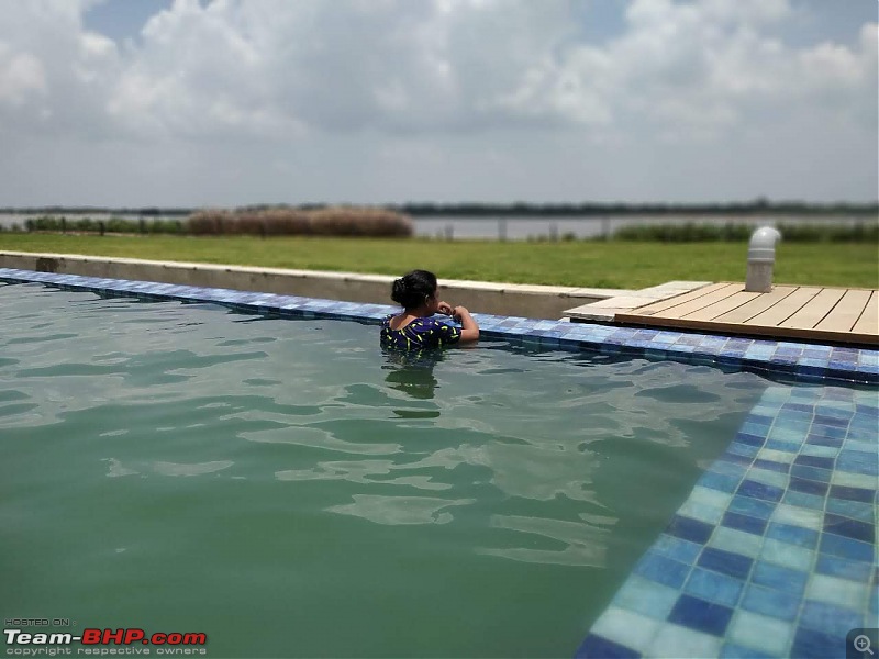 Weekend getaway to Taki (India  Bangladesh border)-pool-tales-2.jpg