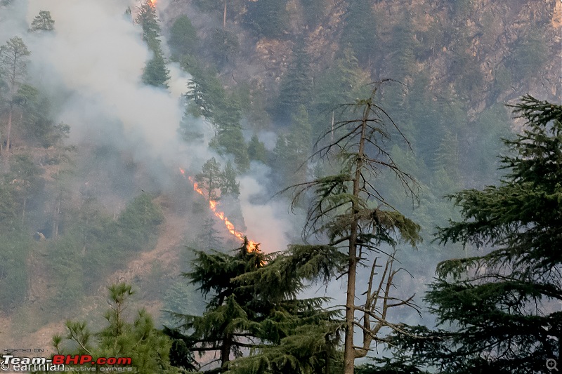 A drive to the Valley of the Gods - Kullu and Kangra in Himachal Pradesh-fire-kasol3.jpg