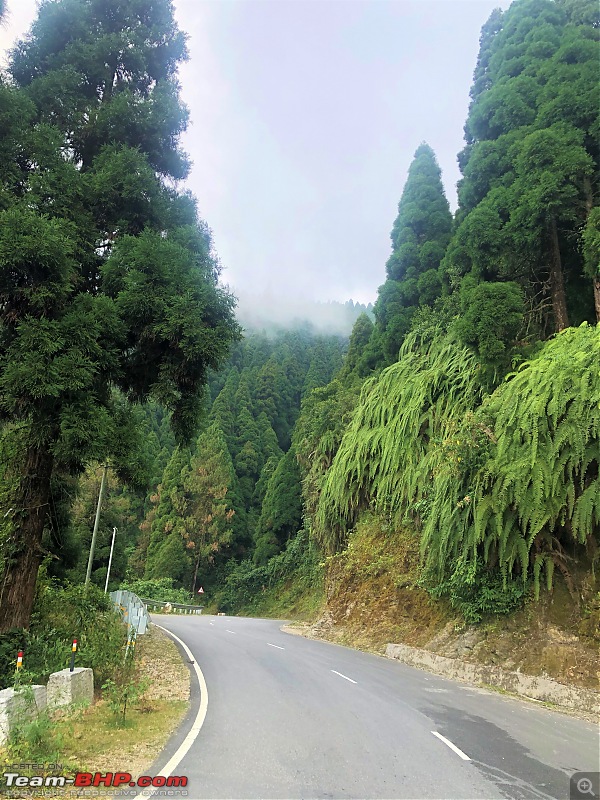 Autumn Drive in an Innova Crysta to Dooars, Kolakham, Kalimpong & Darjeeling-09.-fauna-roads.jpg
