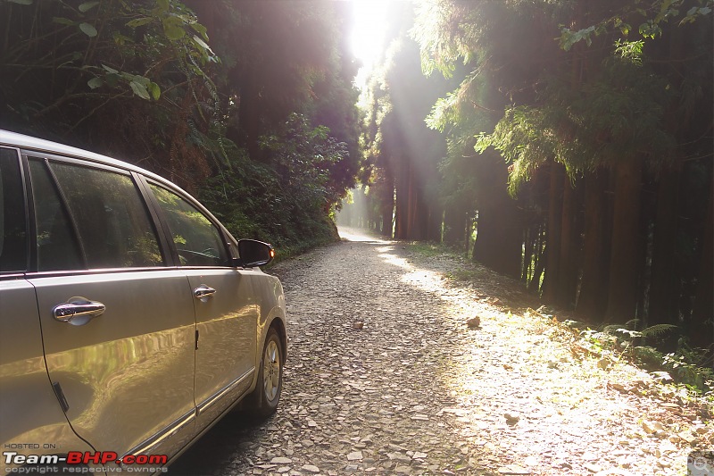 Autumn Drive in an Innova Crysta to Dooars, Kolakham, Kalimpong & Darjeeling-12.c-sun.jpg