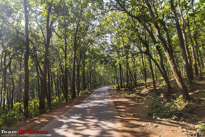 Forests, hills & more! Our road-trip to Madhya Pradesh from Kolkata-img_4962.jpg