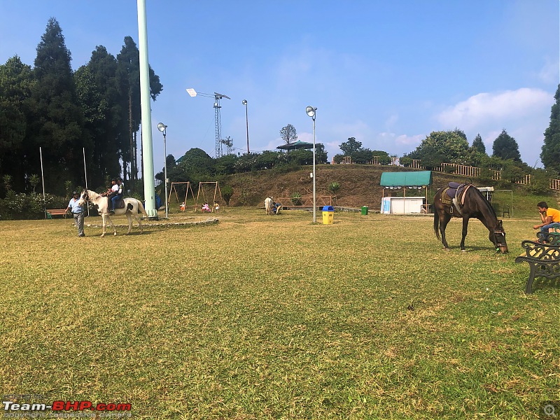 Autumn Drive in an Innova Crysta to Dooars, Kolakham, Kalimpong & Darjeeling-12.-2-horses.jpg